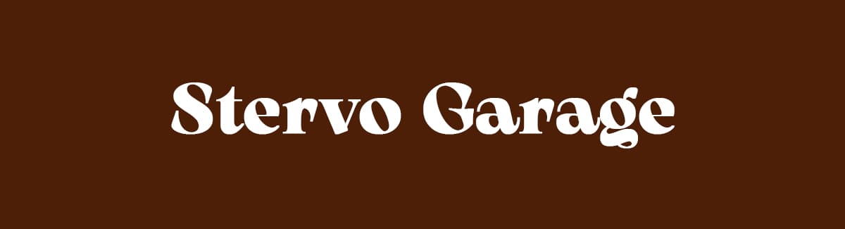 Захисне покриття для автомобілів у Лос-Анджелесі «Stervo Garage»